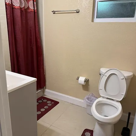 Tutul House Apartment Tampa Exterior photo